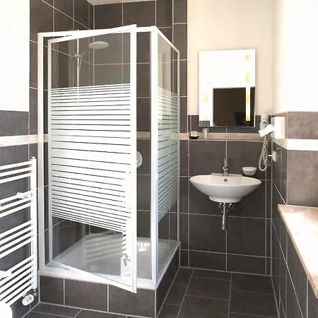 Goldener Falke Hotel 3*