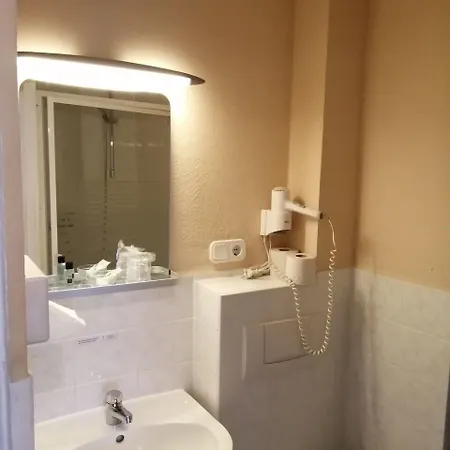 Hotel Goldener Falke