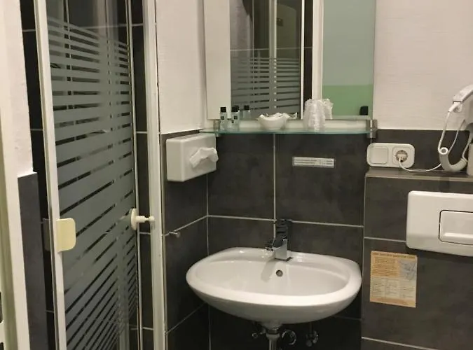 Goldener Falke Hotell 3*