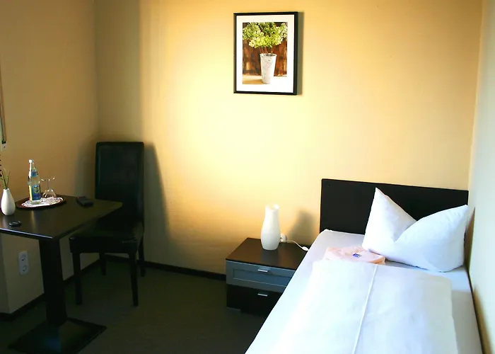 Hotel Goldener Falke 3*