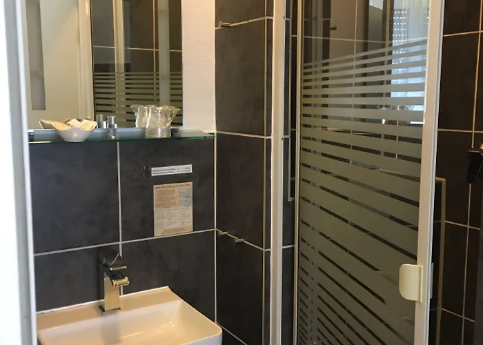 Hotel Goldener Falke